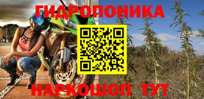 прущие грибы Берёзовский
