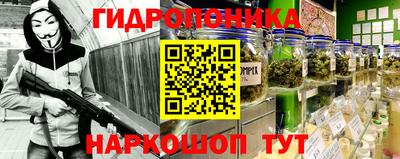 прущие грибы Берёзовский