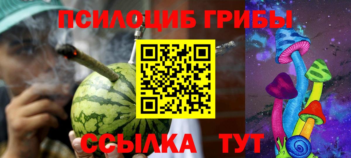 Галлюциногенные грибы прущие грибы Кольчугино