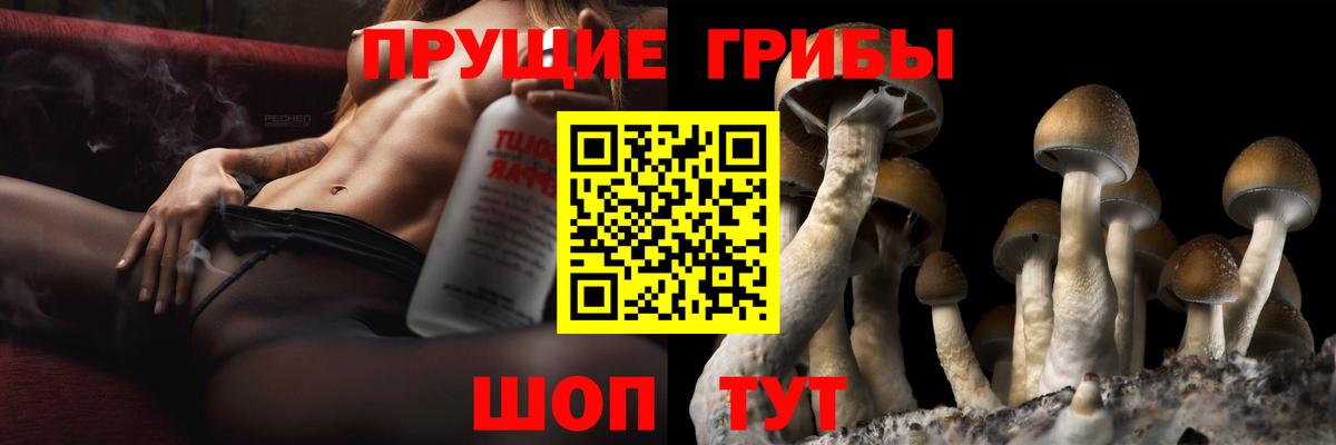 Кольчугино  Псилоцибиновые грибы ЛСД  Вход с VPN  Псилоцибиновые грибы прущие грибы 